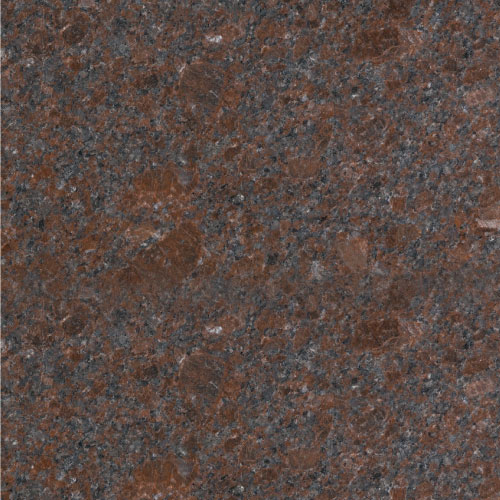 Coffee Brown