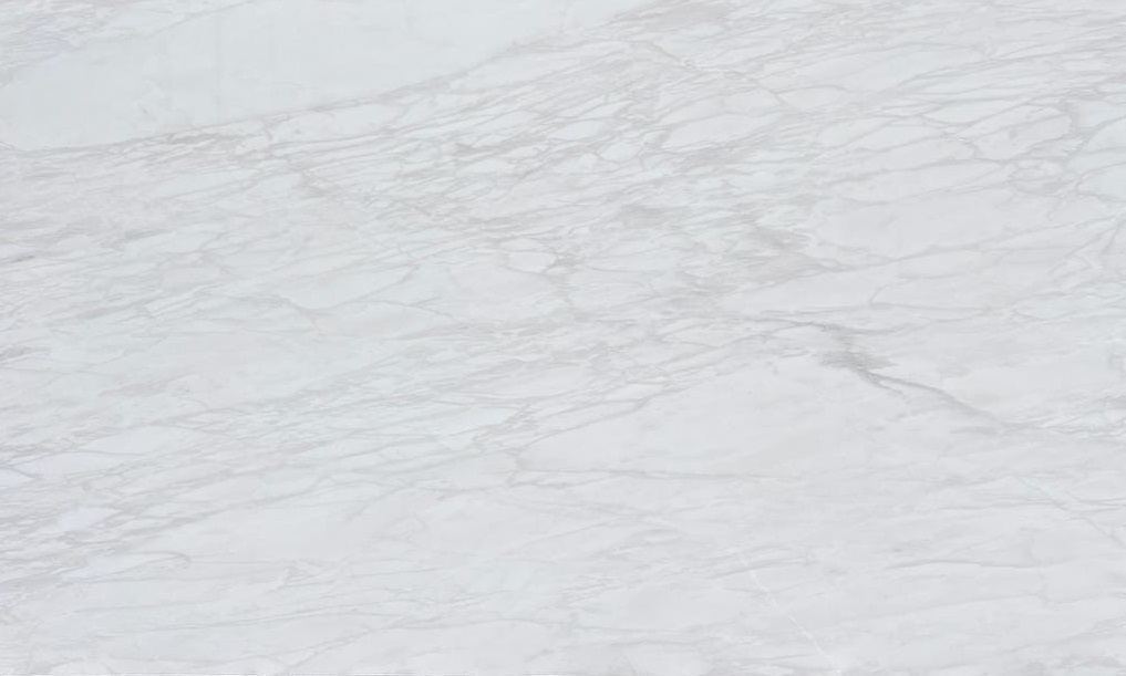Venetino White Marble