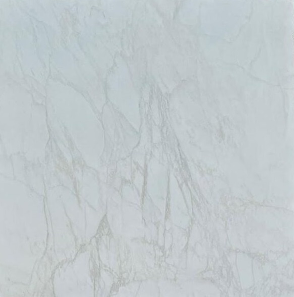 Italian Satvariyo White Marble